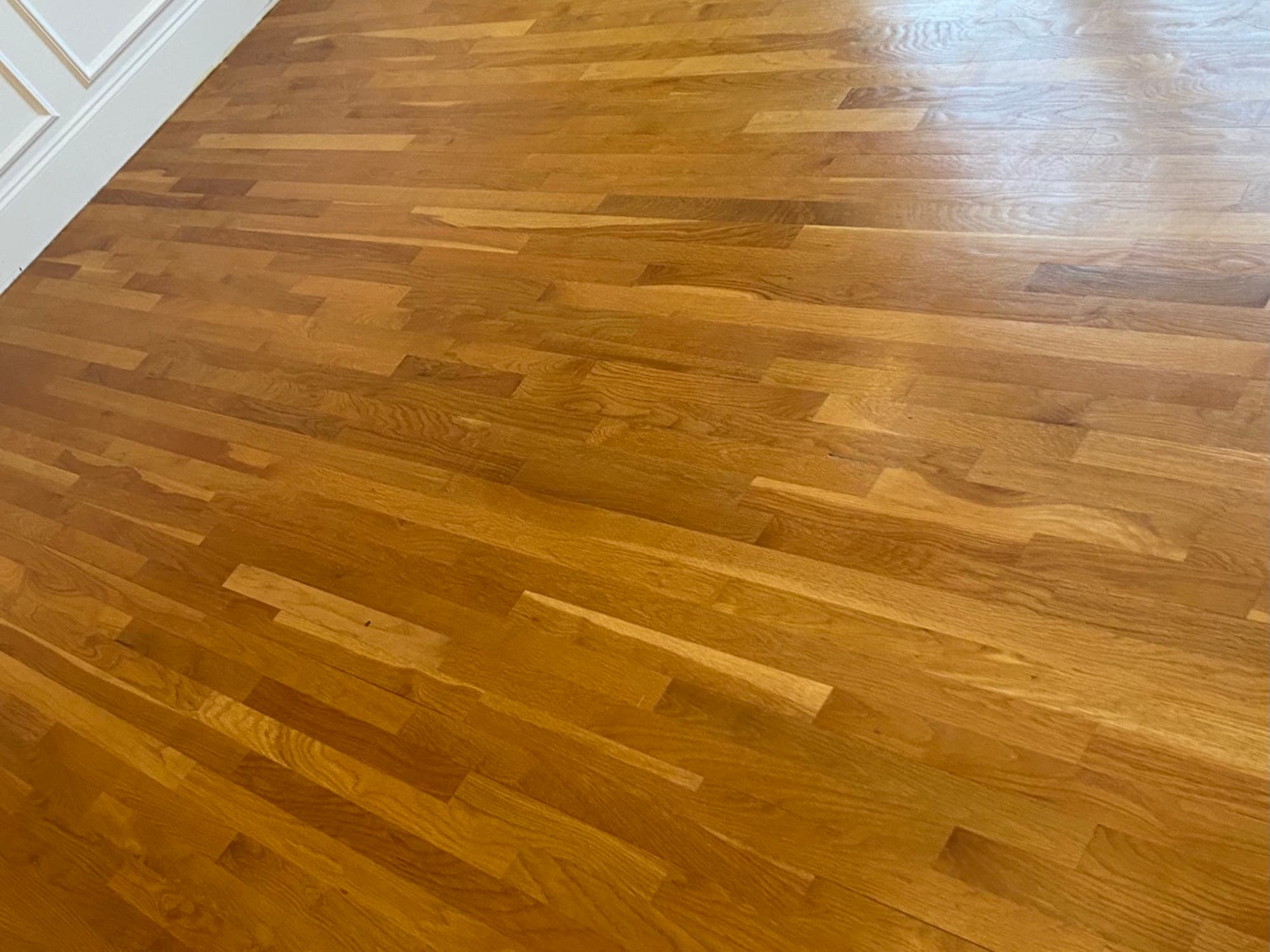 Dated orange-amber white oak floors before refinishing