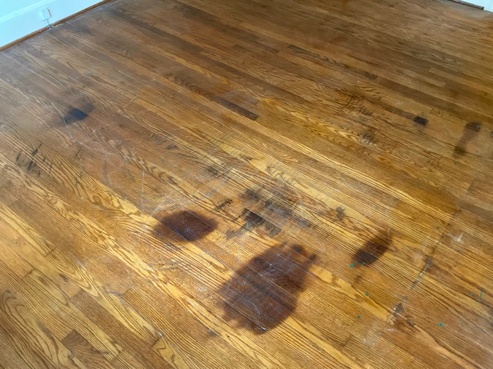 Dark pet urine stains with defined edges on a red oak hardwood floor before refinishing in Clayton NC