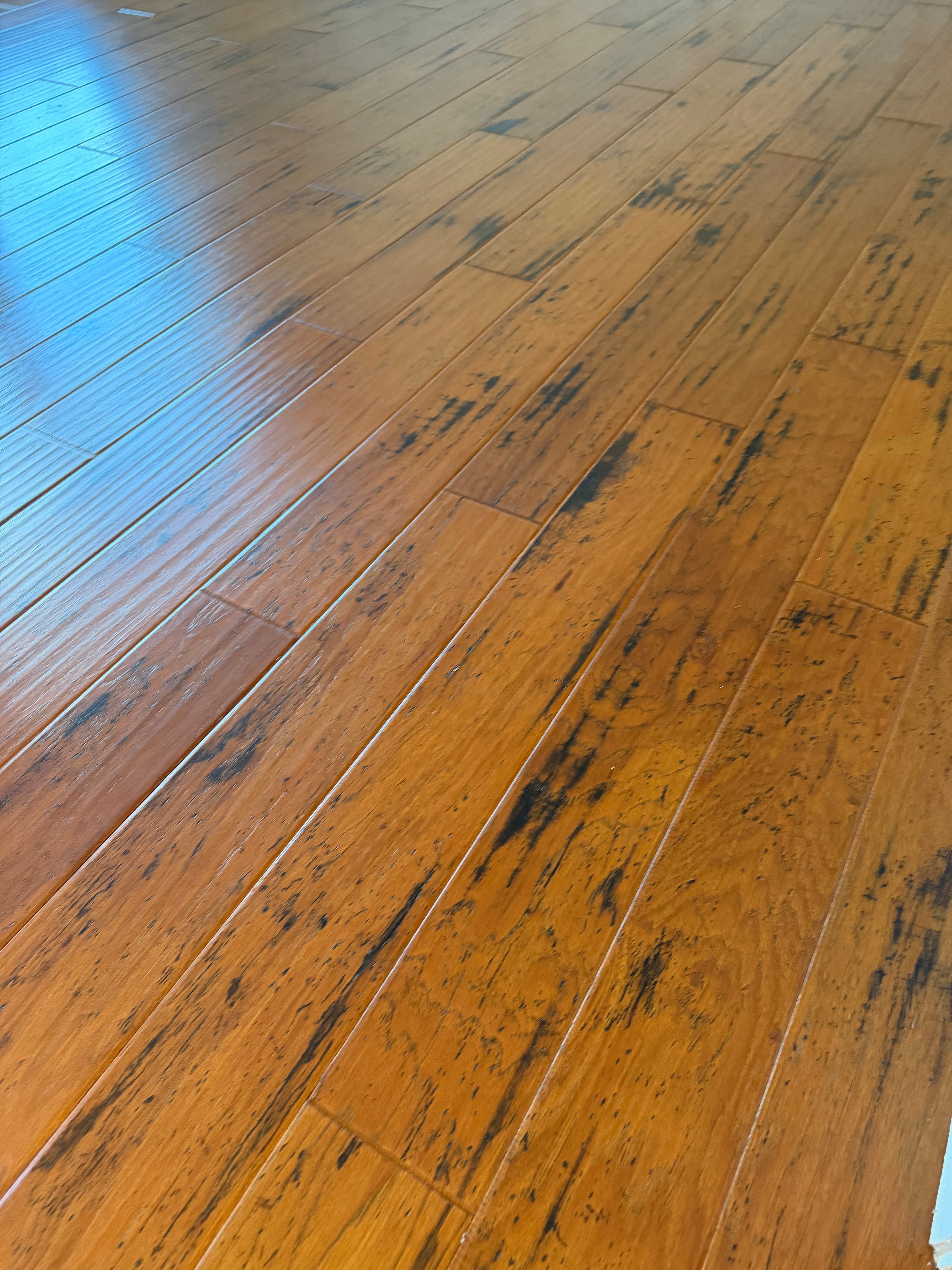 Consumer polish and trapped grime raking across a hickory floor, photographed before deep cleaning on a Holly Springs, NC project
