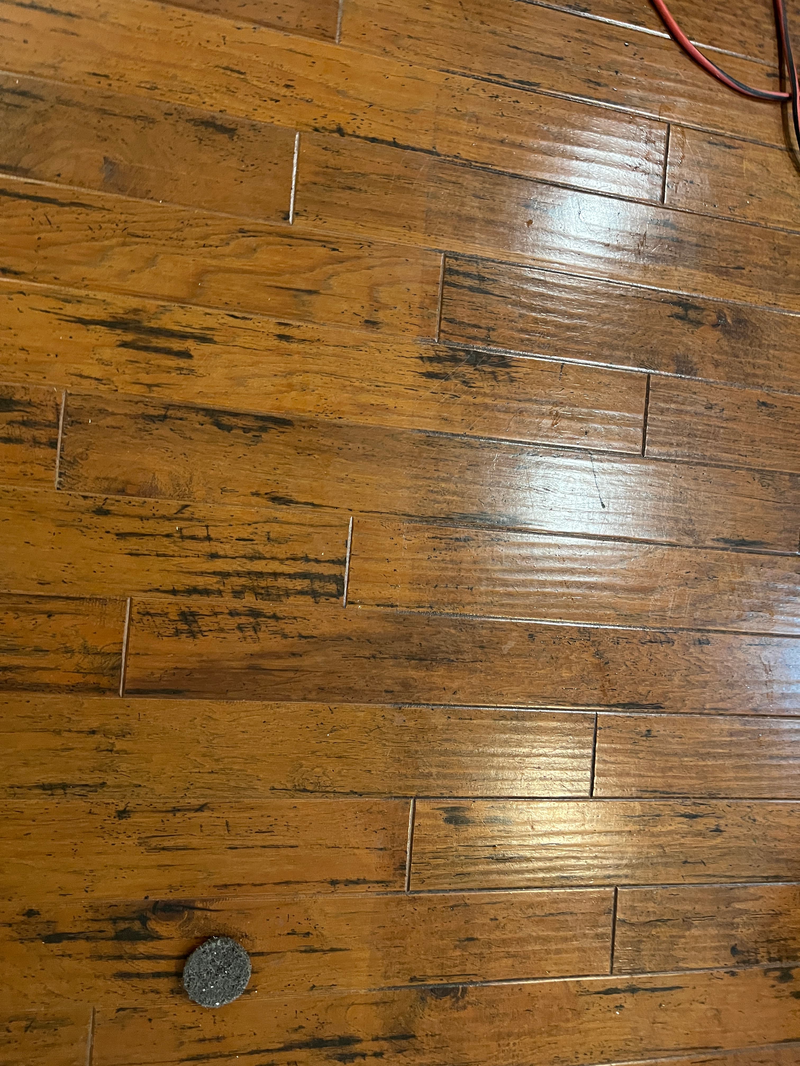 Polish buildup and grime across a hickory floor before service, photographed before deep cleaning on a Holly Springs, NC project