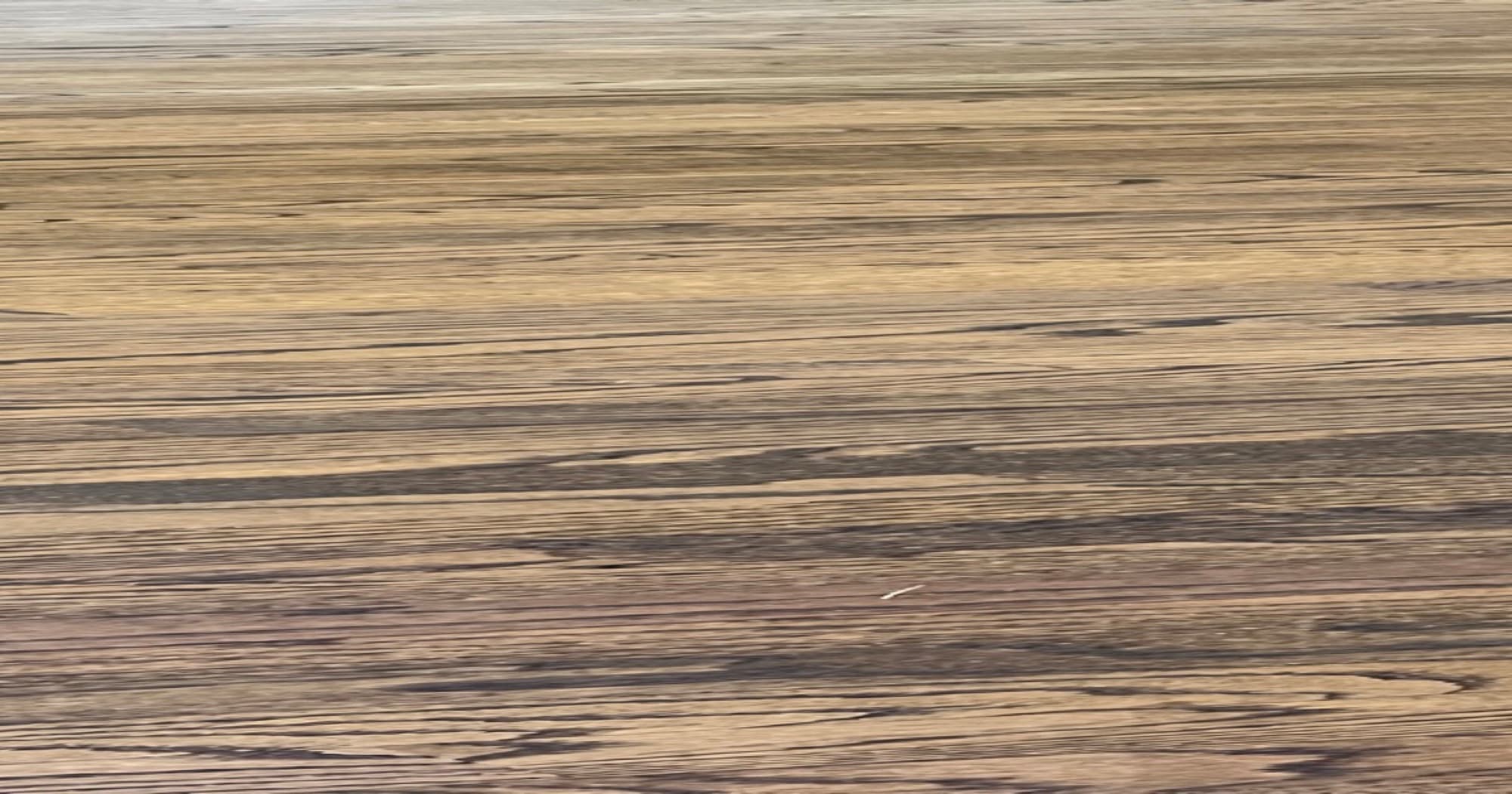 Hardwood flooring installation and refinishing cost guide for Raleigh NC