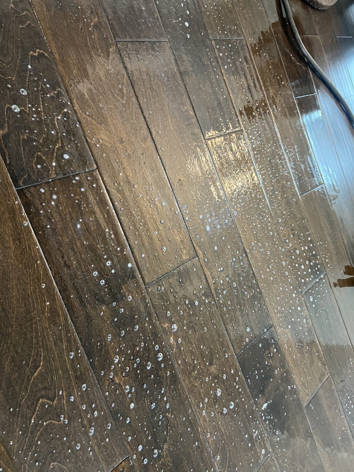 Polish remover dwelling on a hand-scraped floor in Fuquay-Varina NC, the solution beading and bubbling as it softens the acrylic film