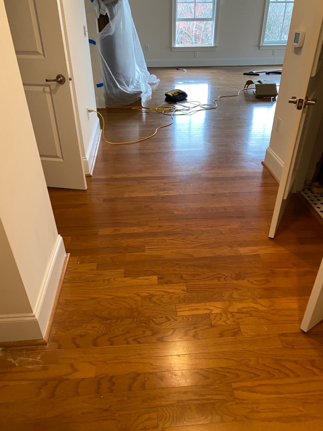 Existing amber-toned engineered hardwood flooring before removal in Bloomsbury Estates condo
