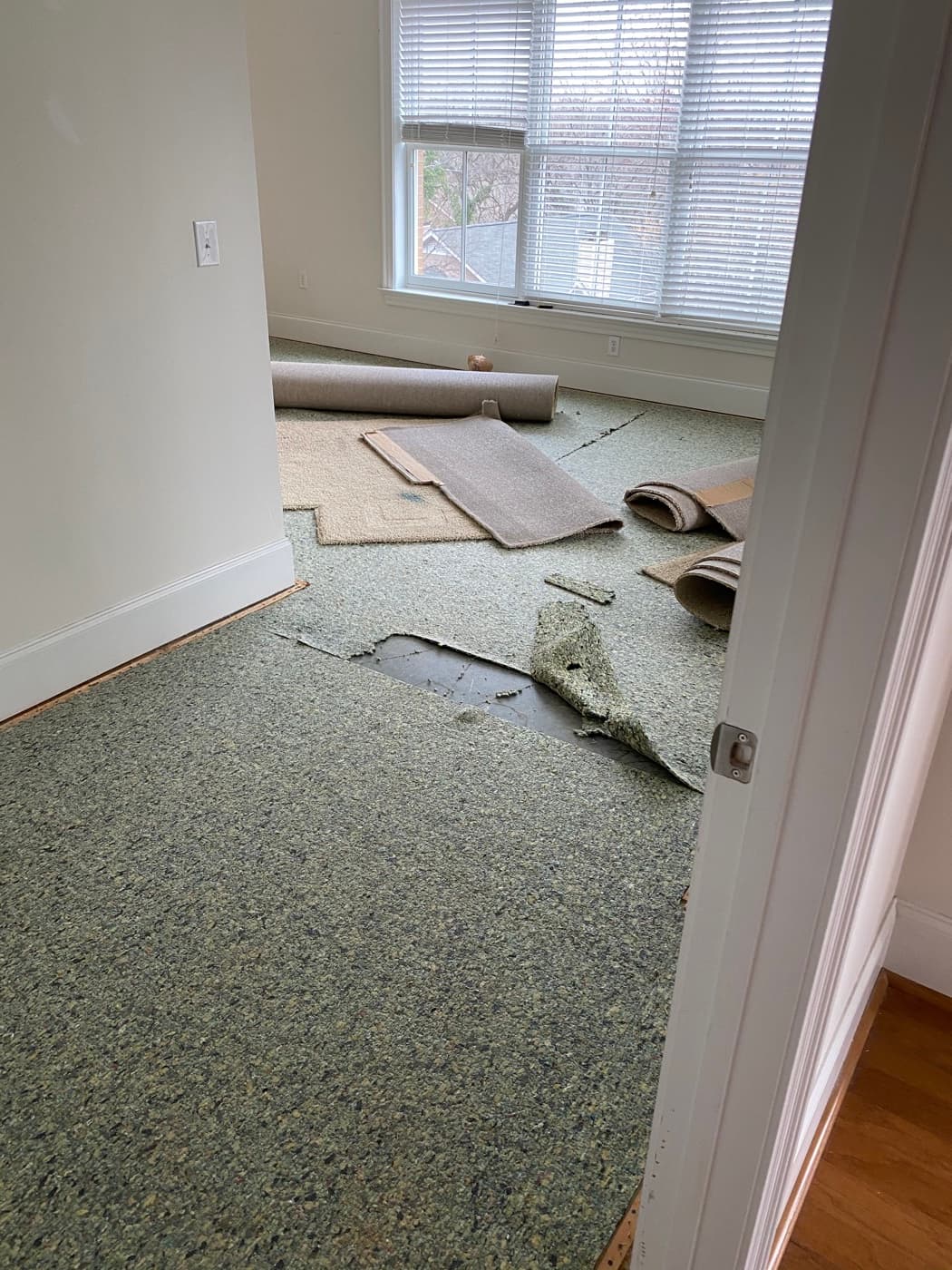 Bedroom carpet being removed and rolled up during flooring demo in Raleigh condo