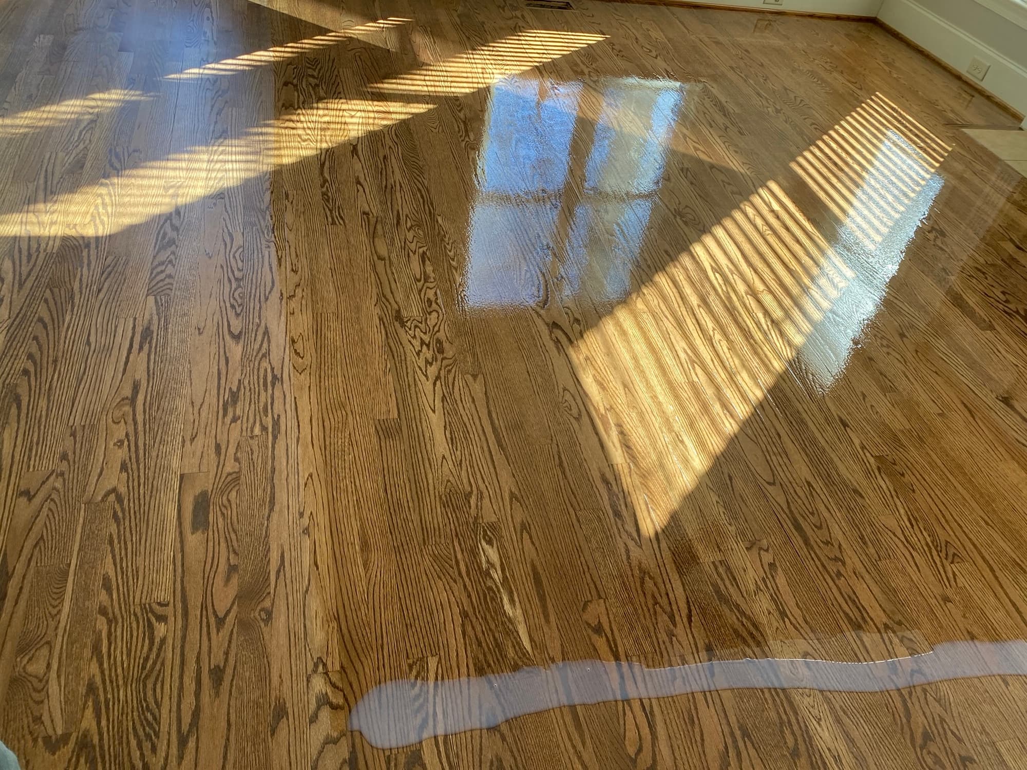 Finish application in progress on stained red oak floors in Hocutt Farm Clayton NC, wet coat showing window light reflection
