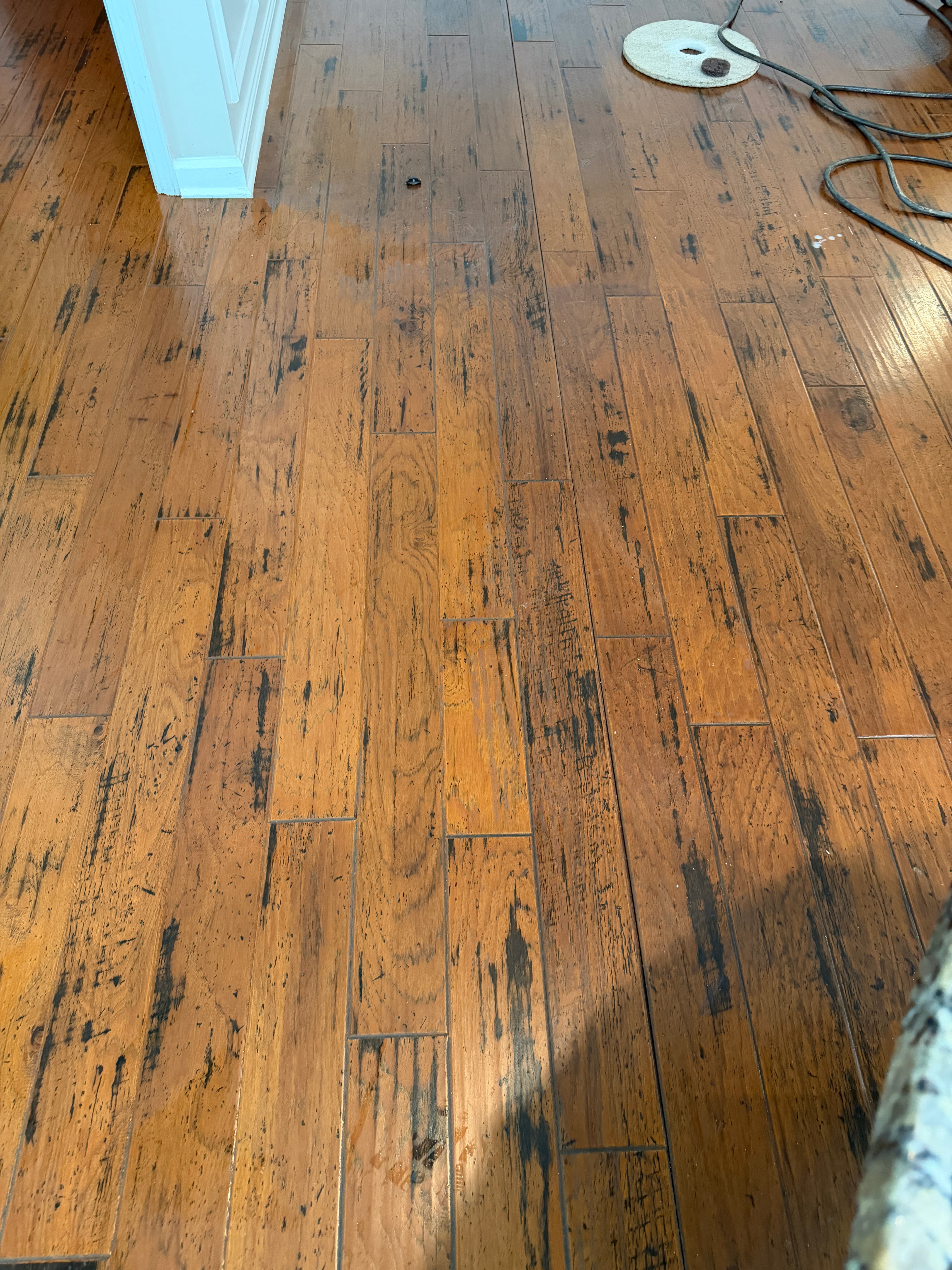 Scratched consumer polish film with embedded dirt on hickory floor before polish removal in Holly Springs NC