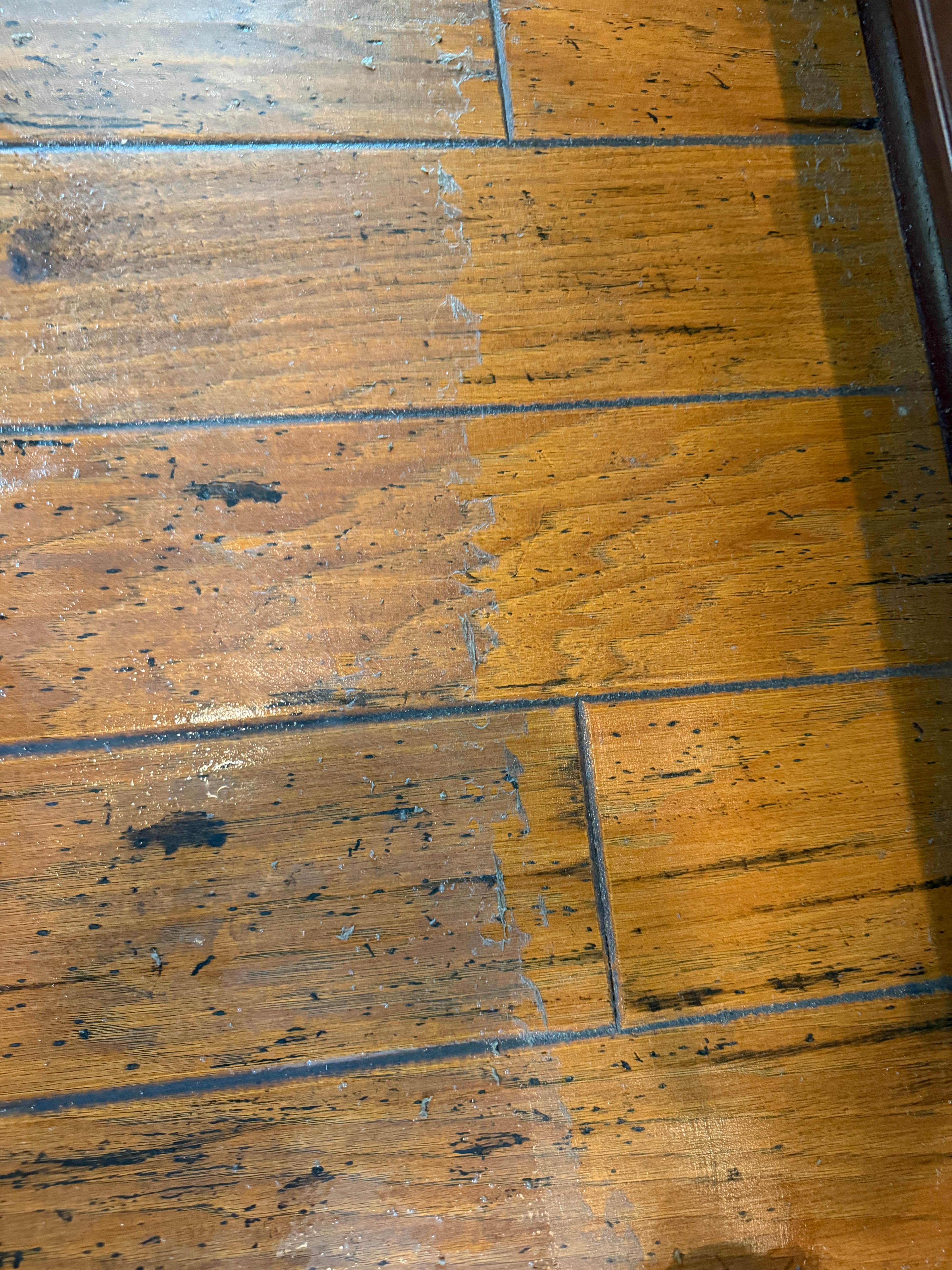 Severe consumer polish buildup along baseboard on hickory floor before removal in Holly Springs NC