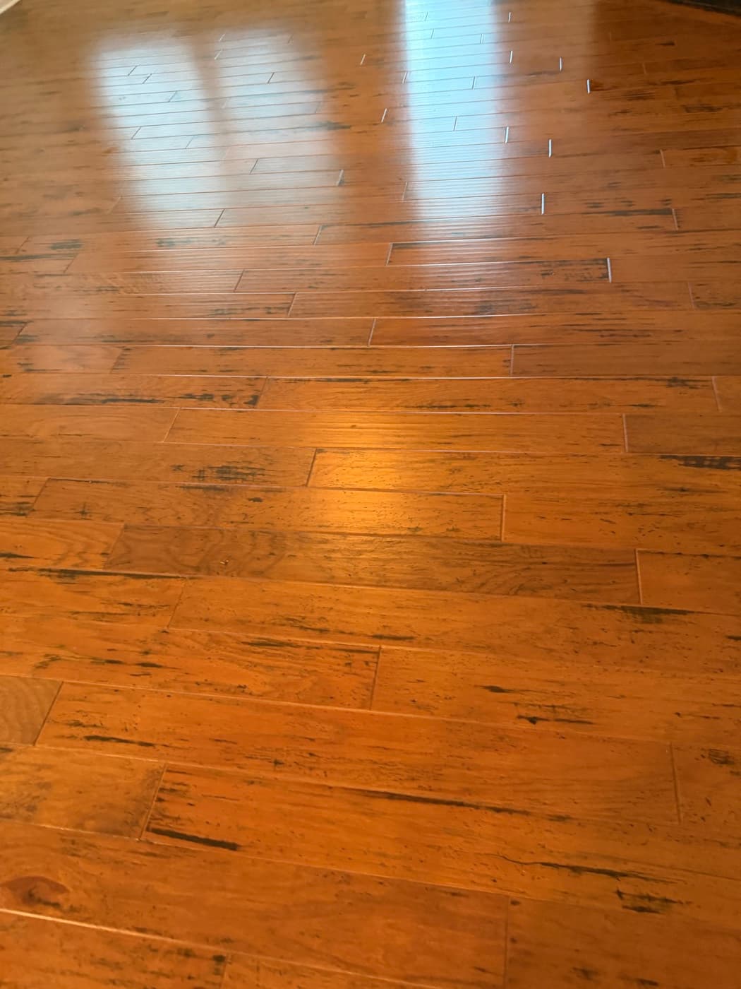 Clean hand-scraped hickory floor with even factory sheen after deep clean in Holly Springs NC