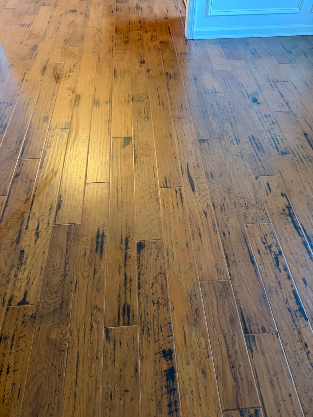 Clean hand-scraped hickory floor meeting cabinetry after deep clean and polish removal in Holly Springs NC