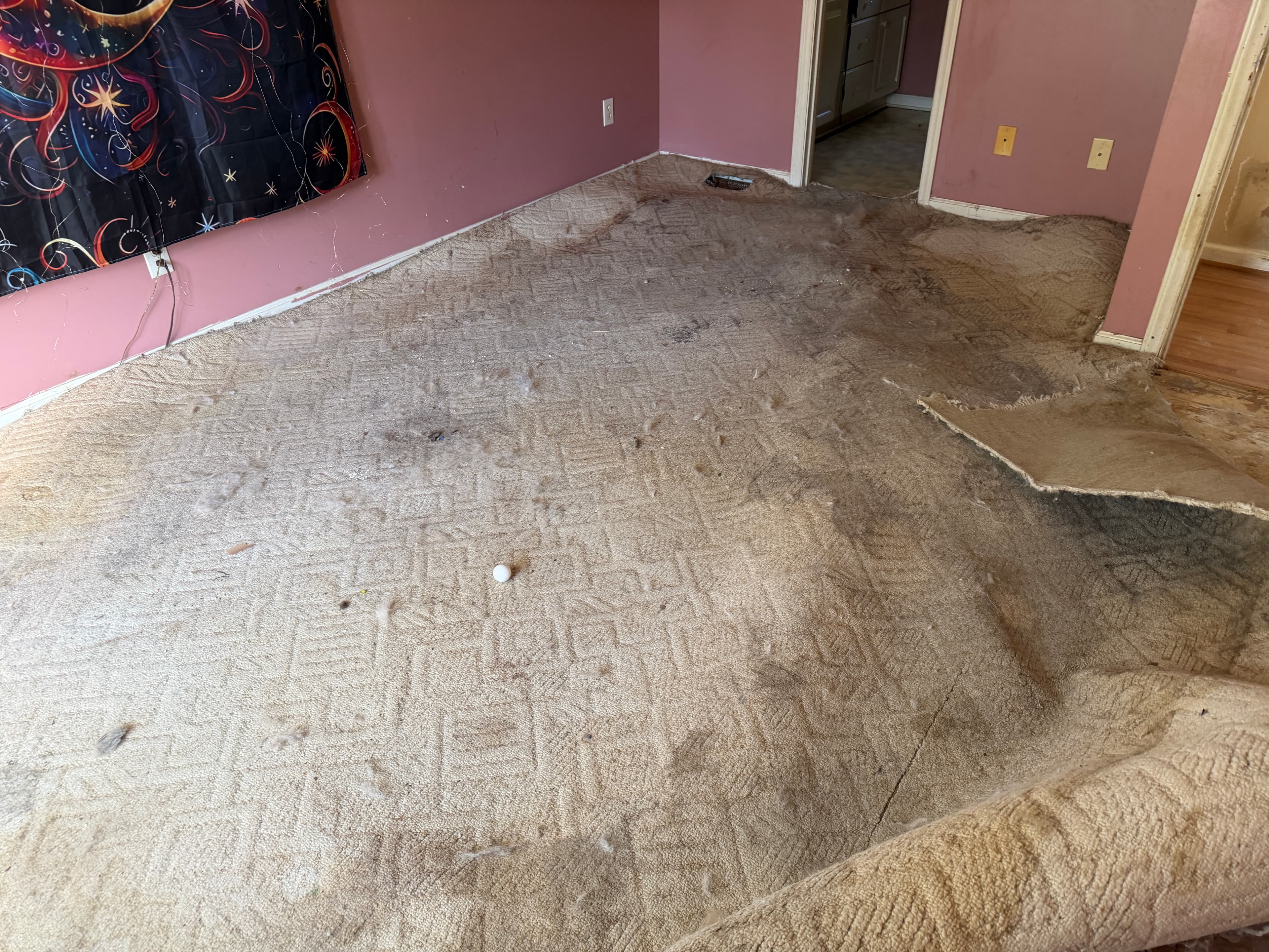 Original carpet in primary bedroom before removal in Buffalo Creek Zebulon NC, worn original builder-grade carpet