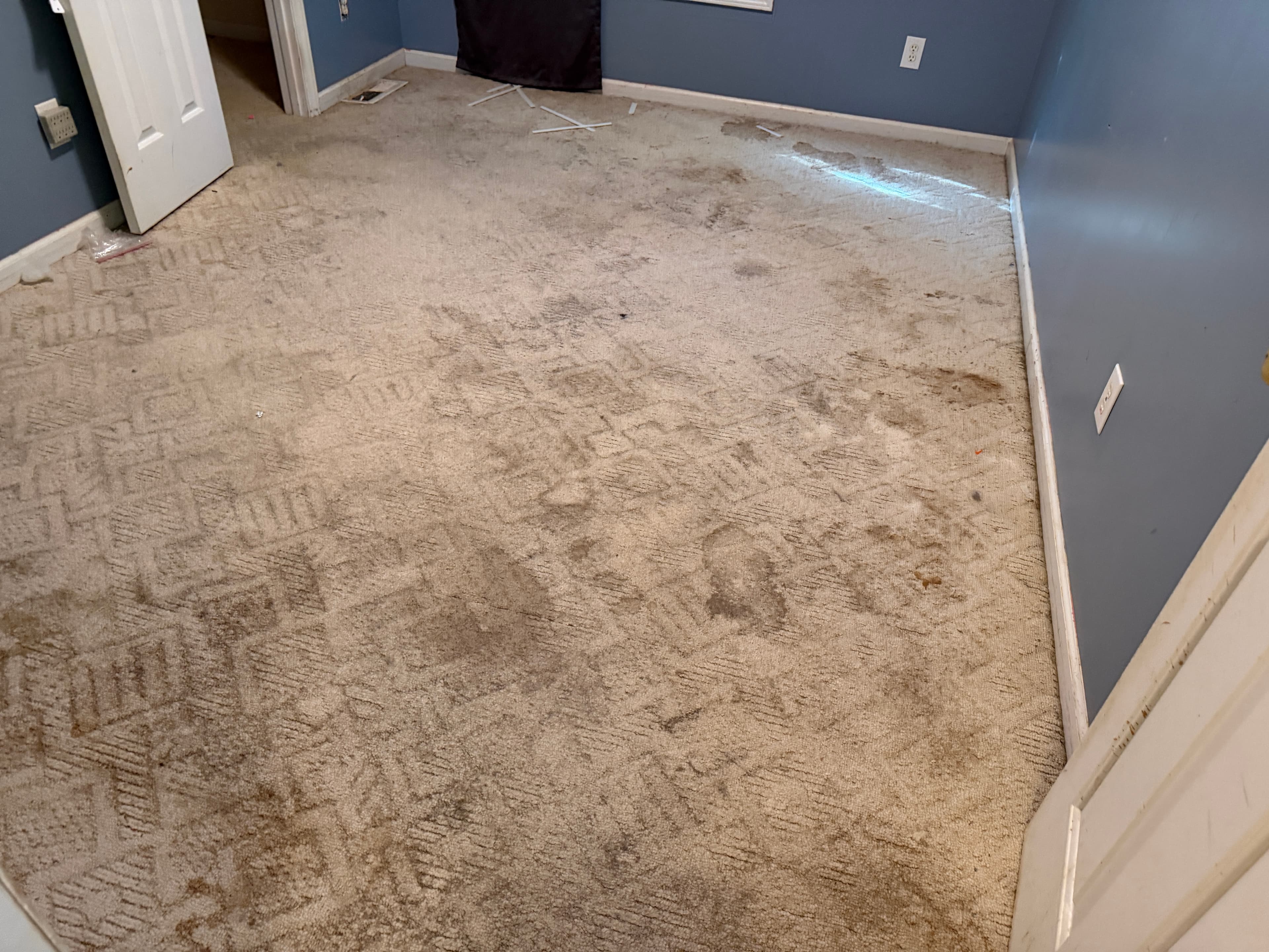 Carpet in secondary bedroom before removal in Buffalo Creek Zebulon NC, original flooring in bedroom before LVP installation