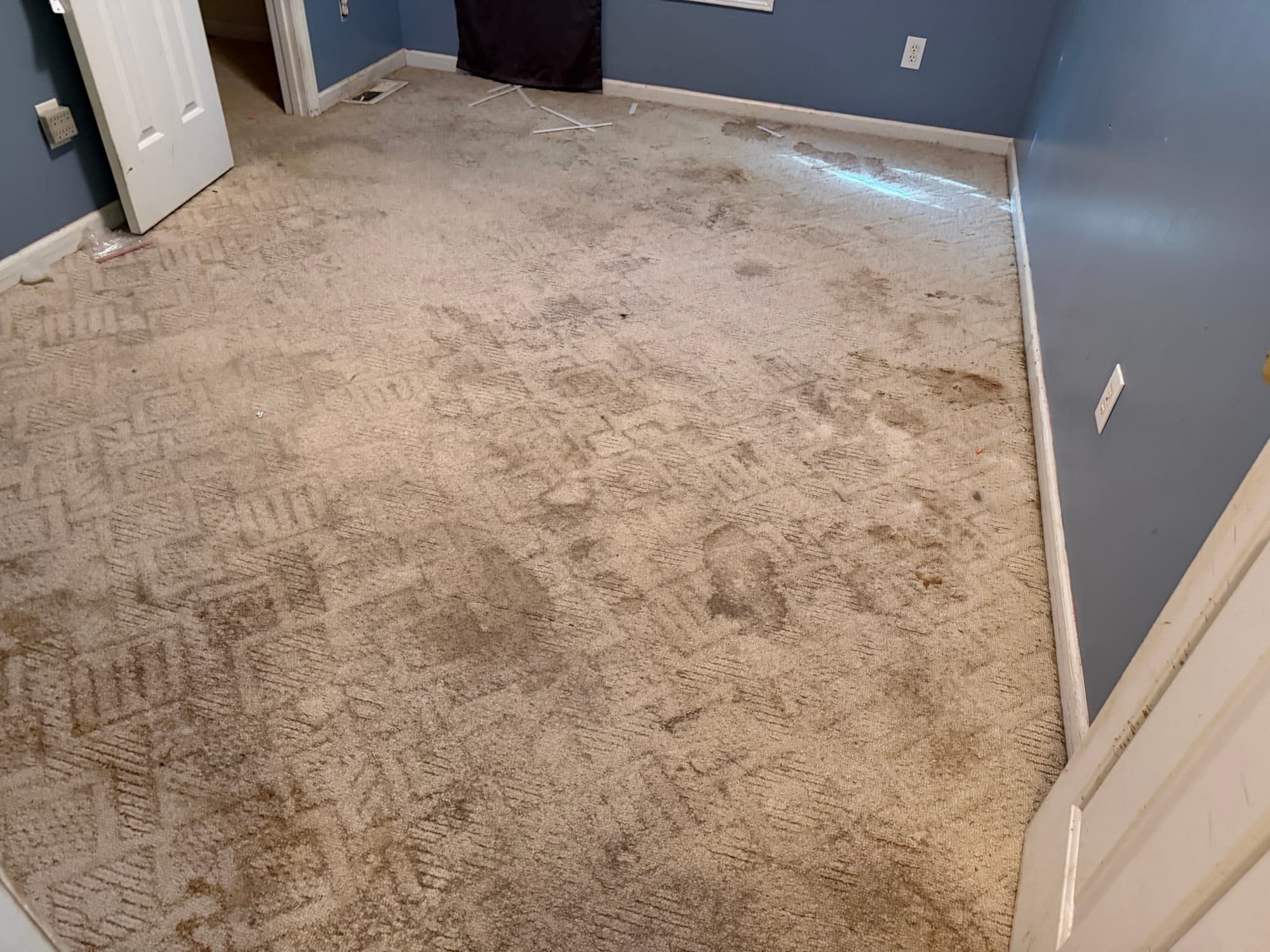 Carpet in secondary bedroom before removal in Buffalo Creek Zebulon NC, original flooring in bedroom before LVP installation