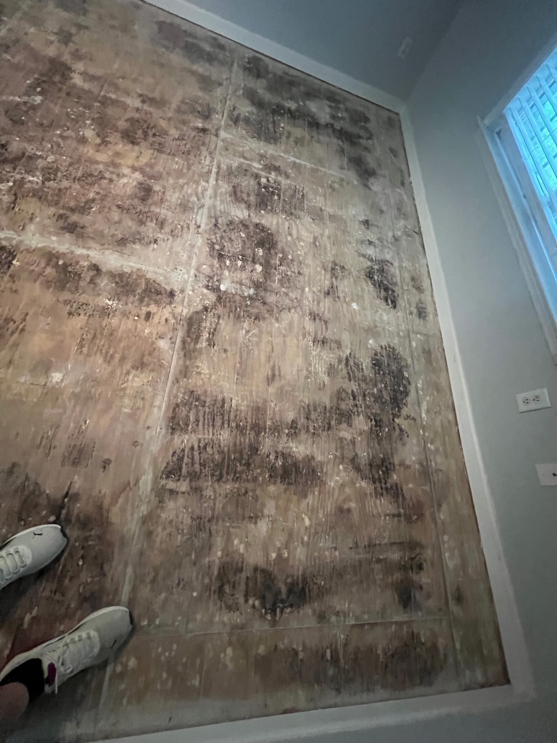 Mold covering subfloor revealed after laminate removal in Zebulon NC home, widespread moisture damage