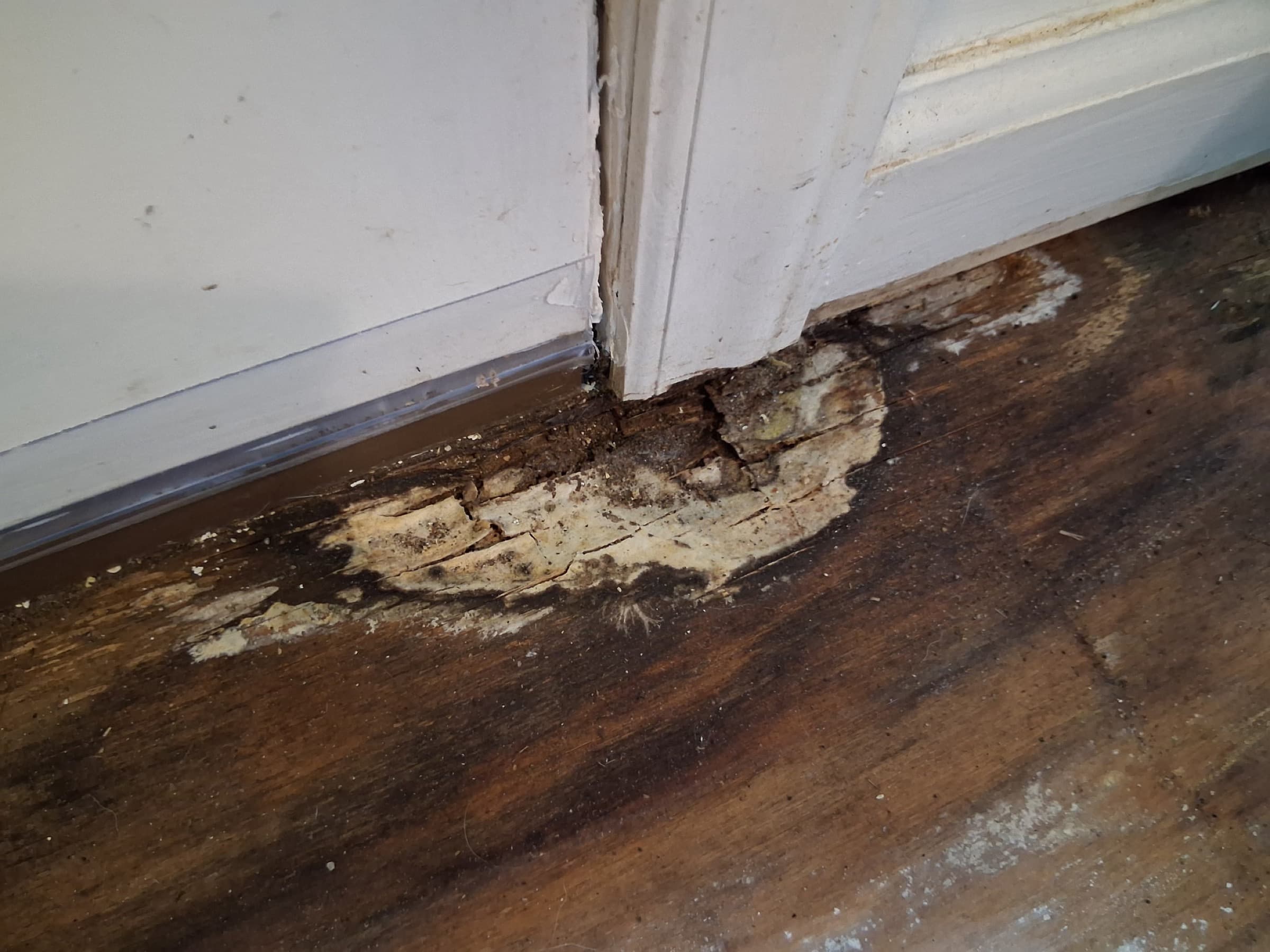 Mold and moisture rot damage at door frame and subfloor in Zebulon NC home before remediation