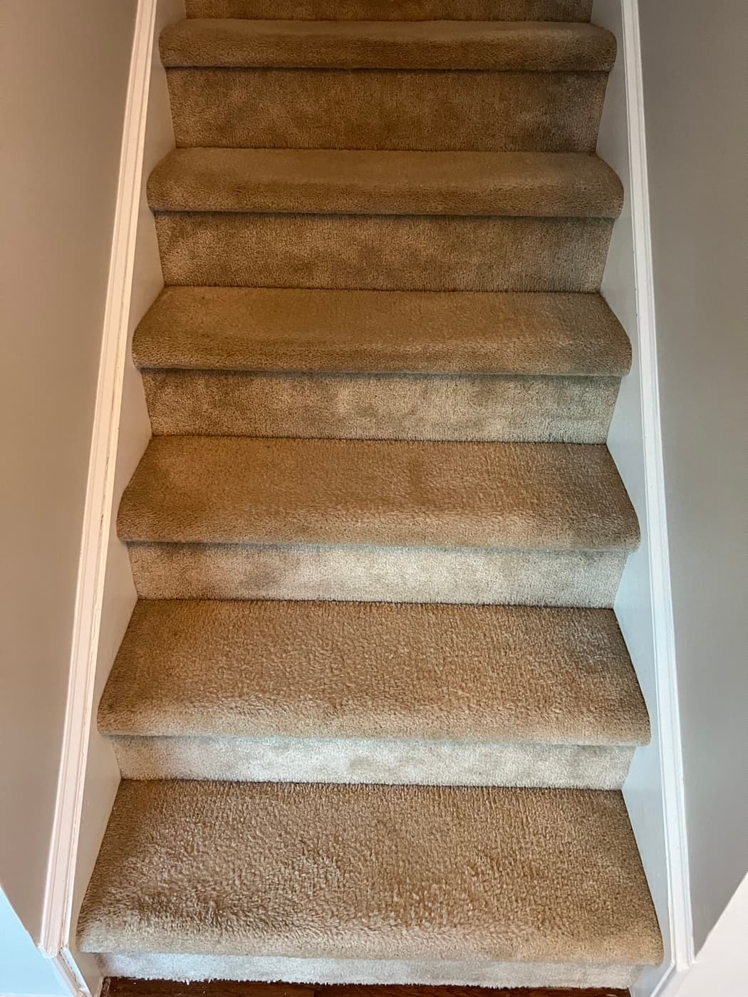 Close-up top-down view of worn tan carpet on stair treads before removal in Clayton NC