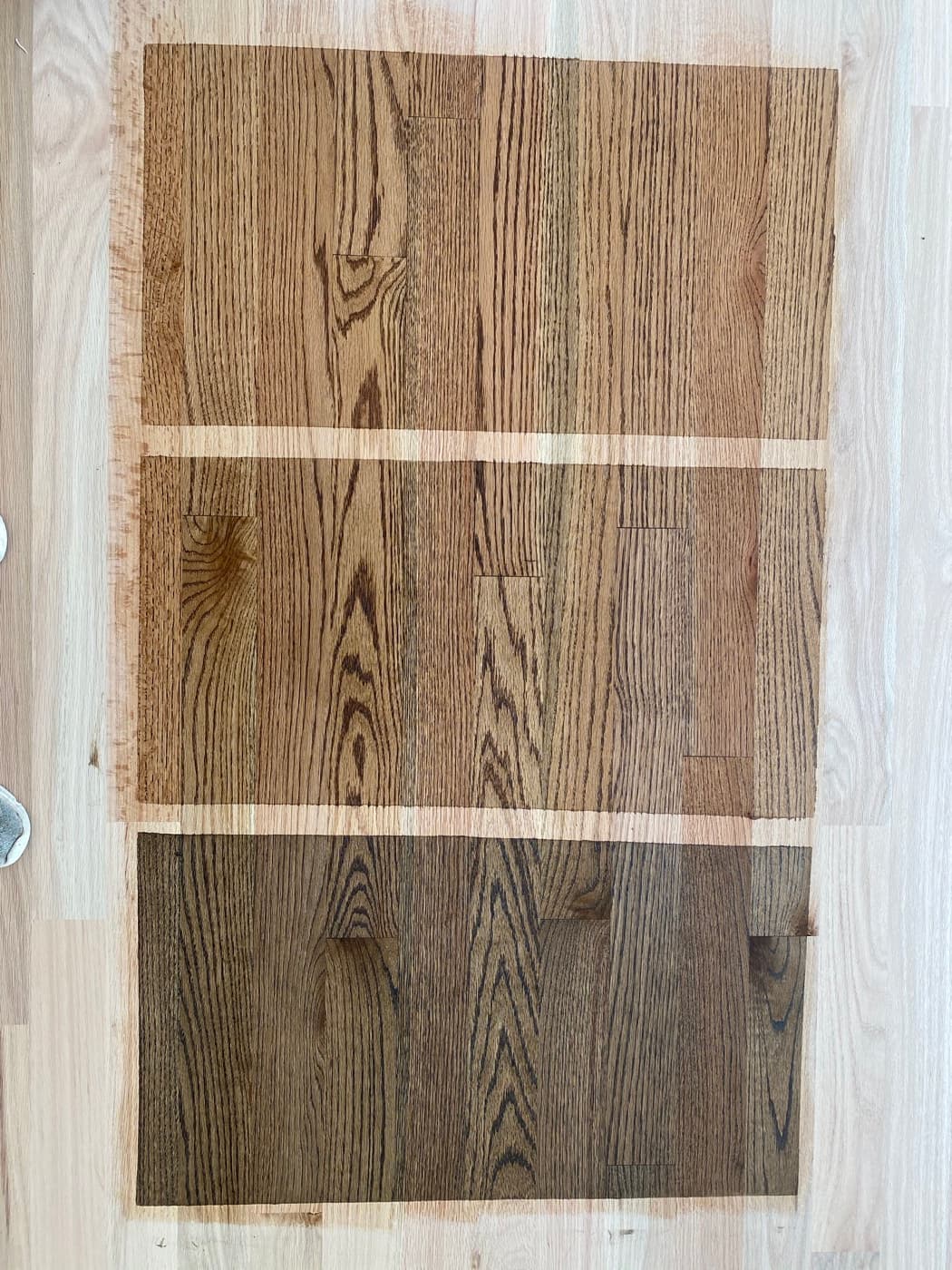 DuraSeal Special Walnut stain samples on 3.25-inch red oak with Bona IntenseSeal and Traffic HD showing color options