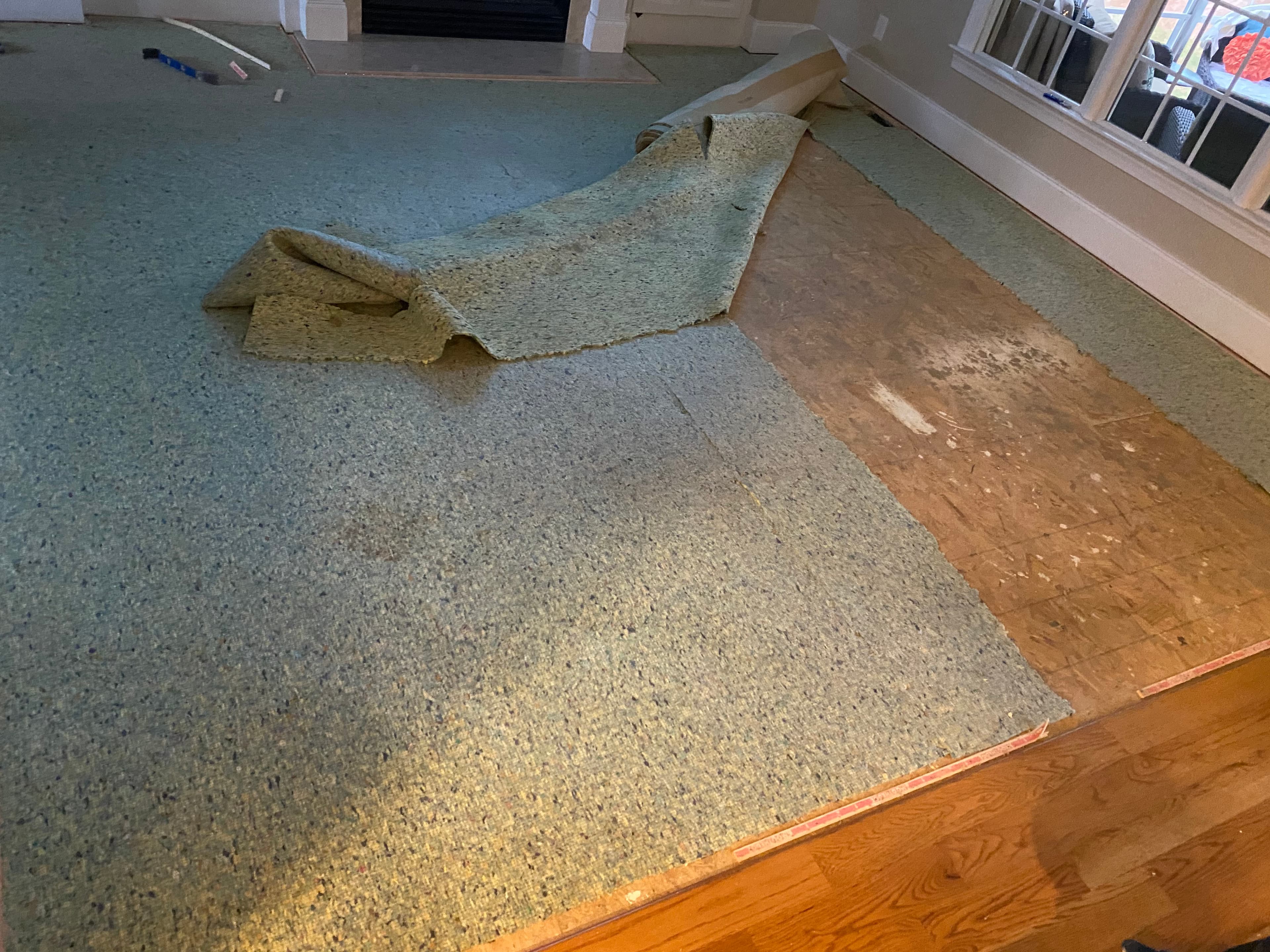 Carpet being removed before red oak installation in Turner Downs Raleigh NC, pad and tack strips visible