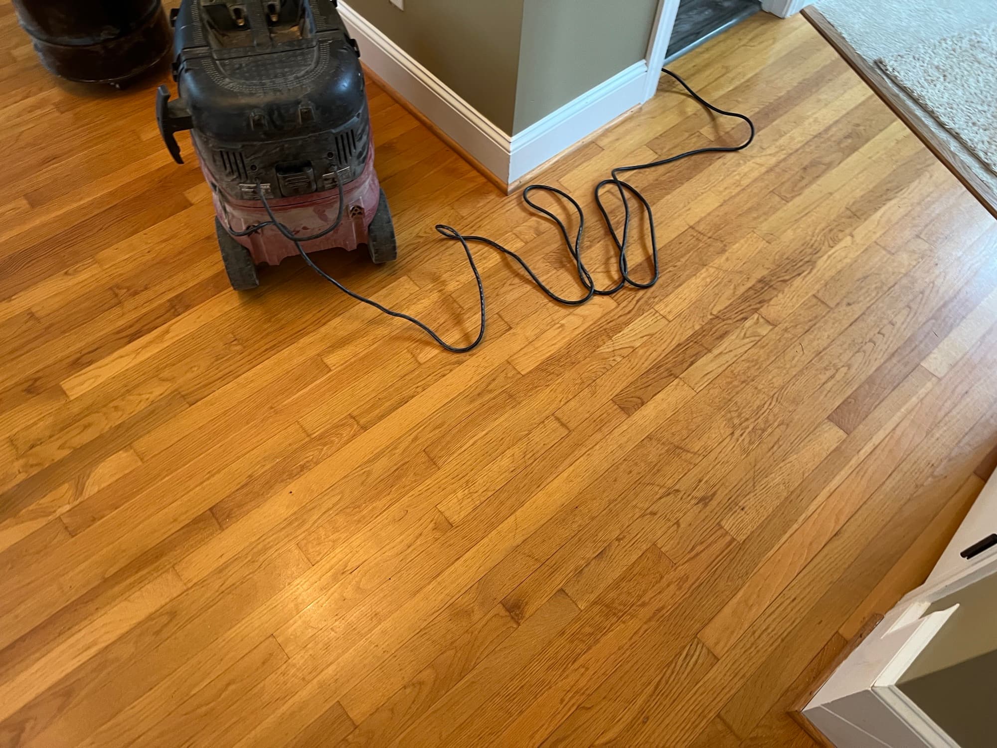 White oak floor in a Clayton NC home with an aged oil-based polyurethane finish that has turned deep honey gold, before refinishing