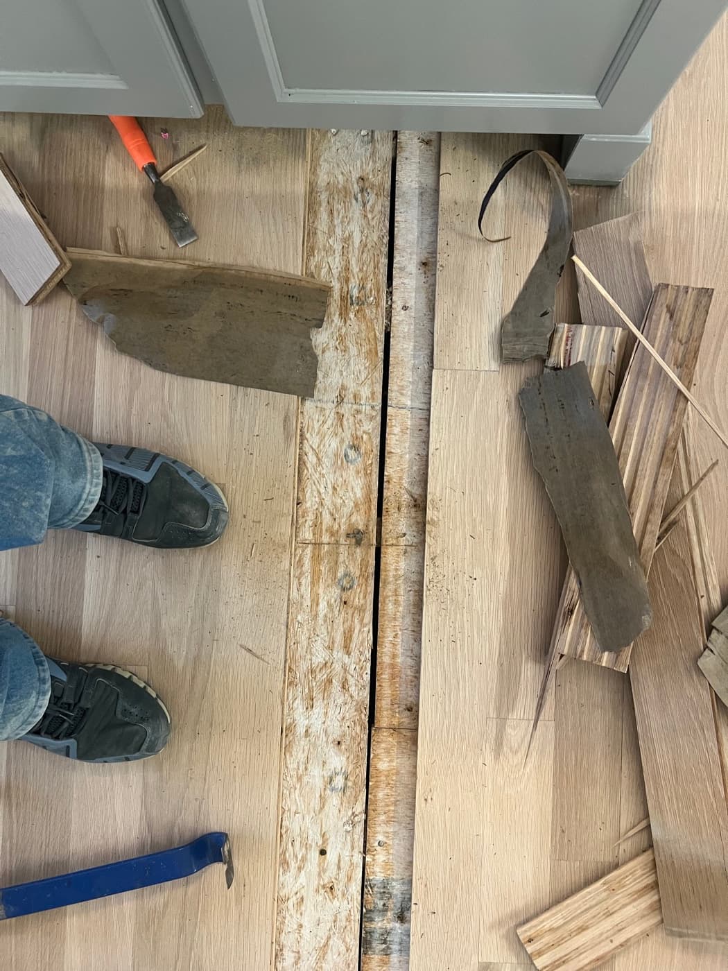 Water damaged white oak boards removed with subfloor exposed during moisture repair in Raleigh NC