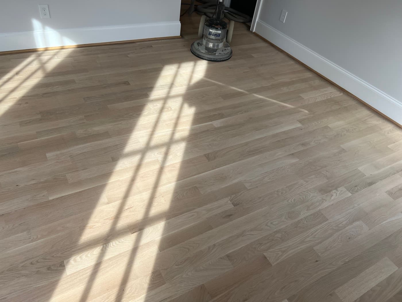 Bona PowerDrive planetary sander running 100 grit Bona Net sandpaper for final sanding pass on white oak in Raleigh NC