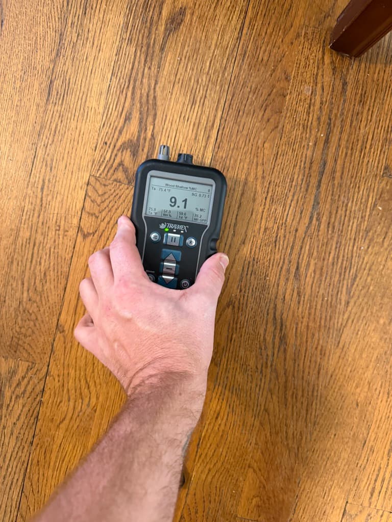 Tramex pinless moisture meter reading 9.1 percent on an existing red oak floor